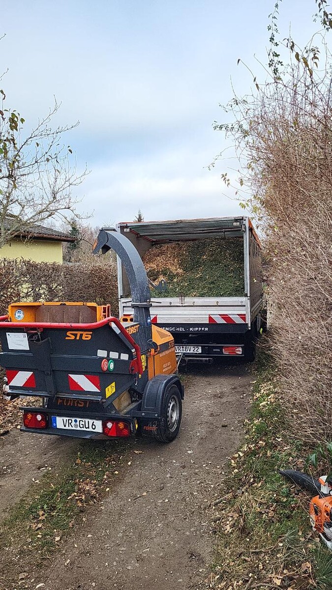 Bilder BV Baumpflege Vorpommern GmbH