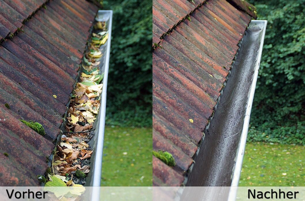 Bilder BV Baumpflege Vorpommern GmbH