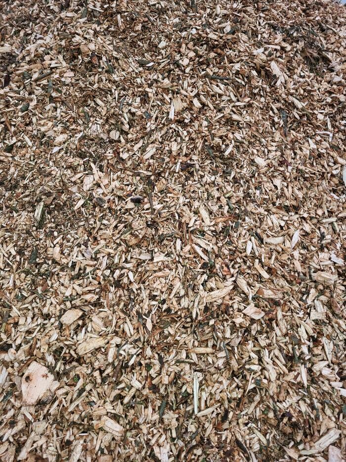 Bilder BV Baumpflege Vorpommern GmbH