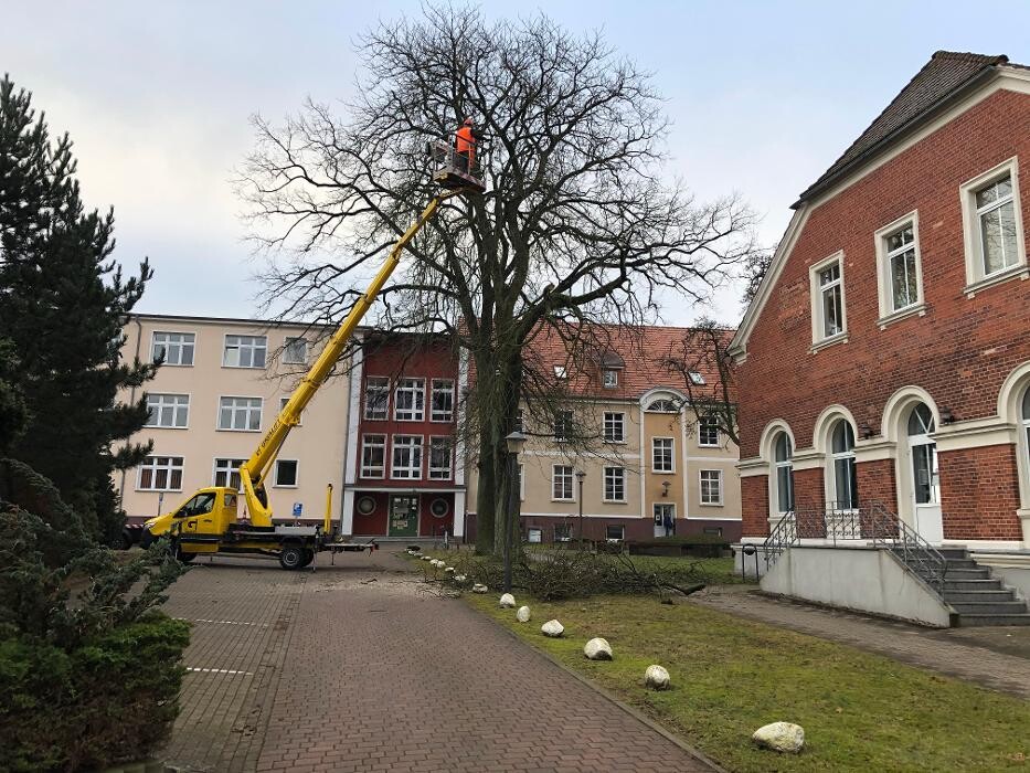 Bilder BV Baumpflege Vorpommern GmbH