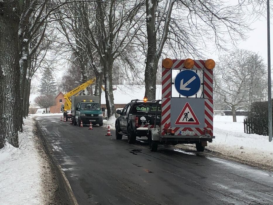 Bilder BV Baumpflege Vorpommern GmbH