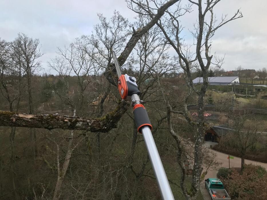 Bilder BV Baumpflege Vorpommern GmbH