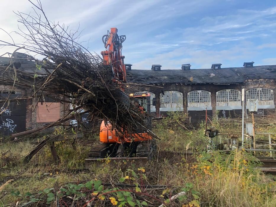 Bilder BV Baumpflege Vorpommern GmbH