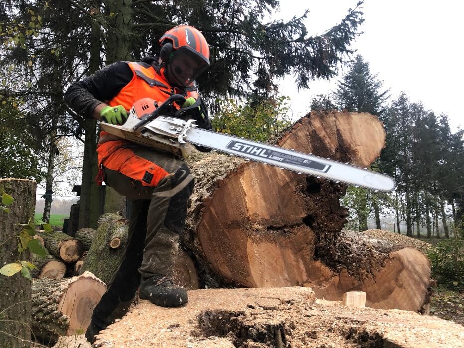 Bilder BV Baumpflege Vorpommern GmbH