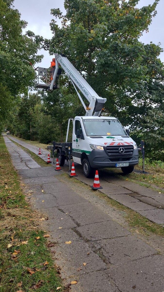 Bilder BV Baumpflege Vorpommern GmbH