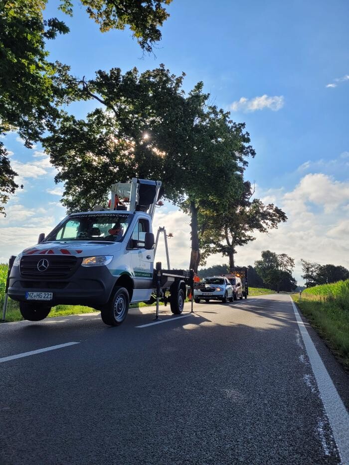 Bilder BV Baumpflege Vorpommern GmbH