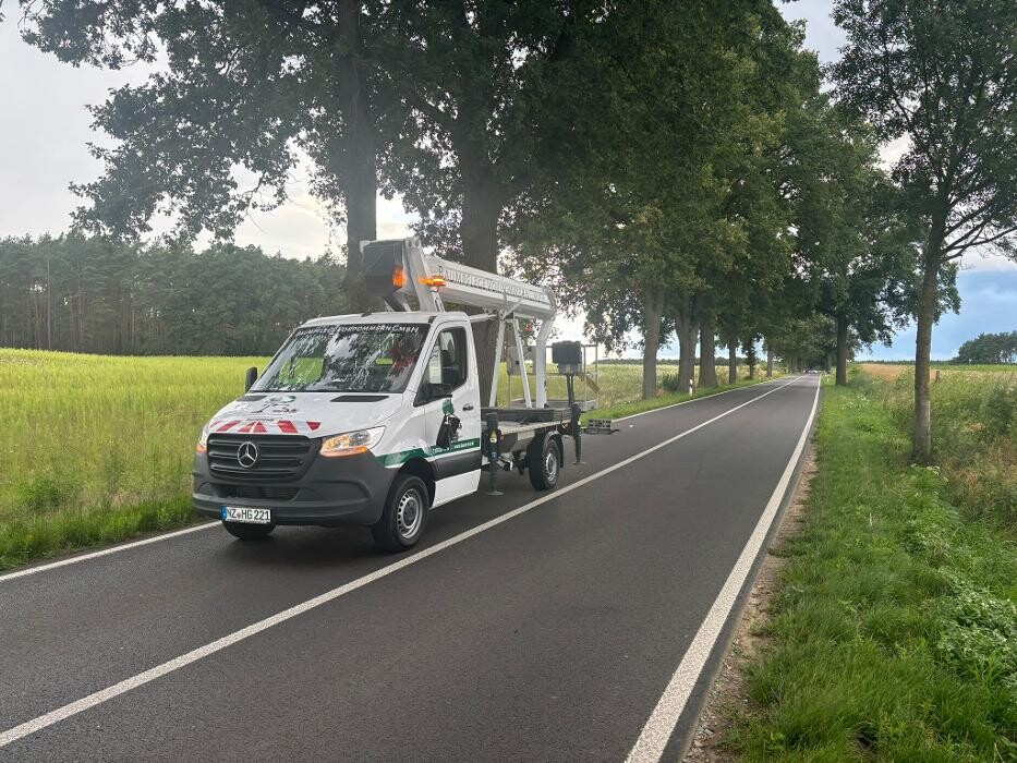 Bilder BV Baumpflege Vorpommern GmbH