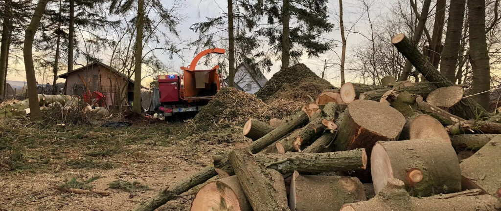 Bilder Sven Gippert