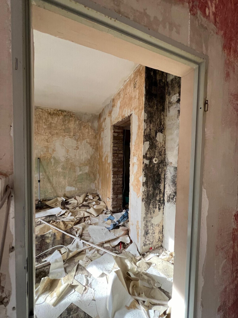 Bilder Timberbau GmbH