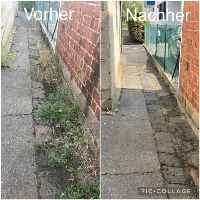 Bilder Rhein-Main Facility Service UG