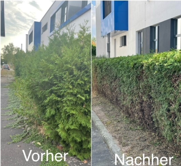 Bilder Rhein-Main Facility Service UG