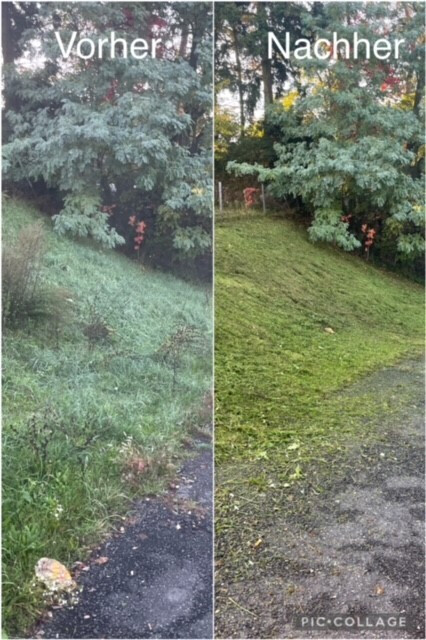 Bilder Rhein-Main Facility Service UG