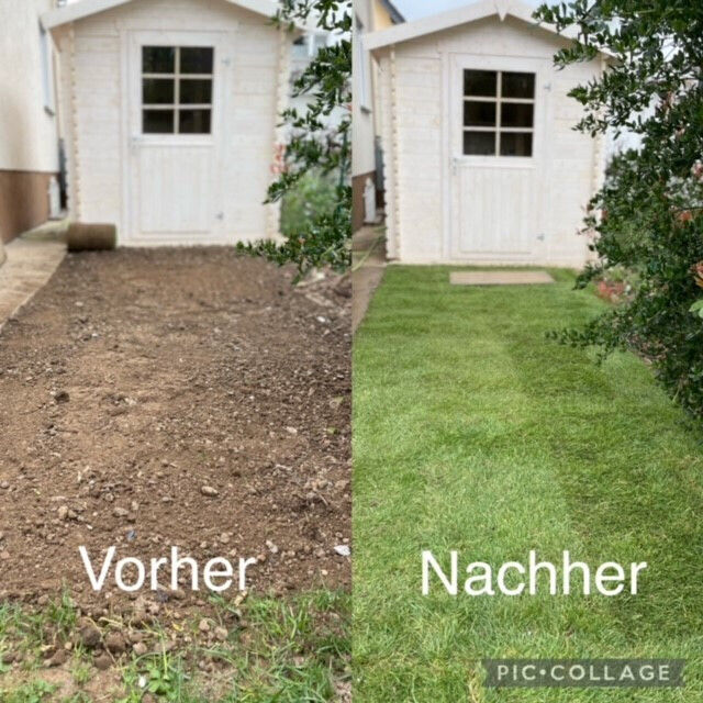 Bilder Rhein-Main Facility Service UG