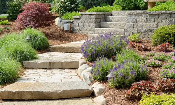 Bilder Dienstleistung GORGAS