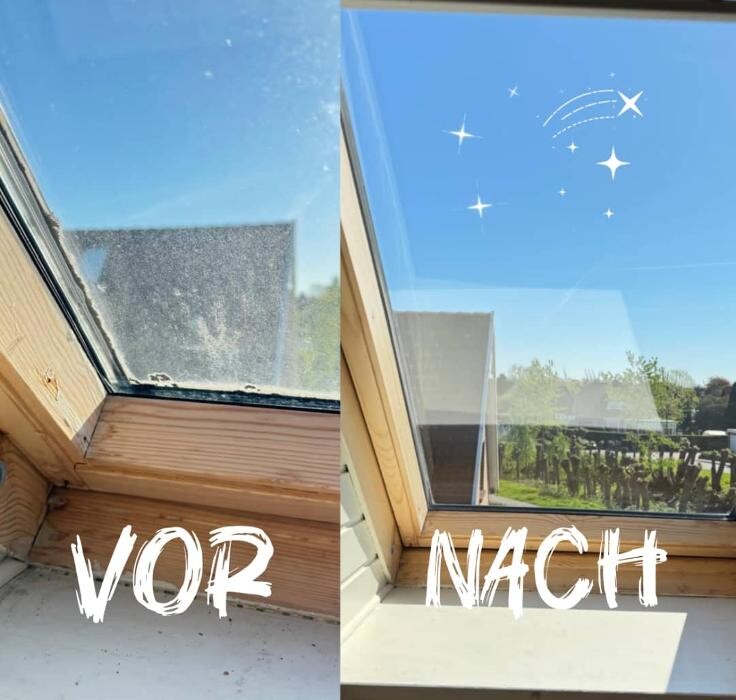 Bilder DK - Multiservice Reinigung