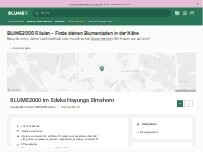 Website Screenshot BLUME2000 im Edeka Hayunga Elmshorn