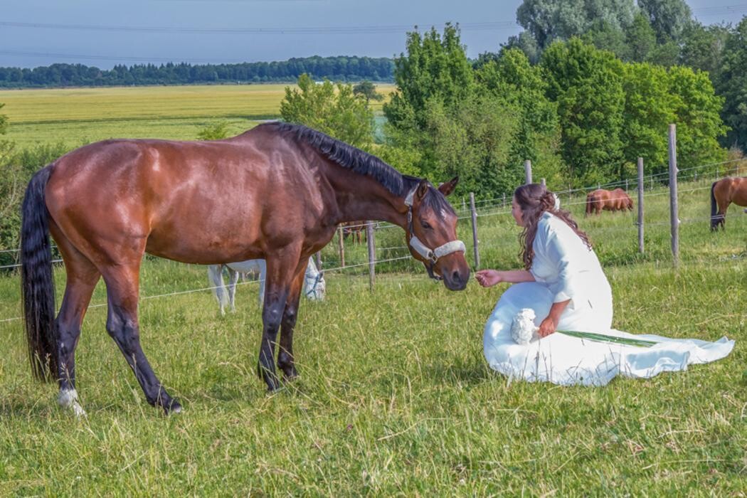 Bilder HM-Fotodesign