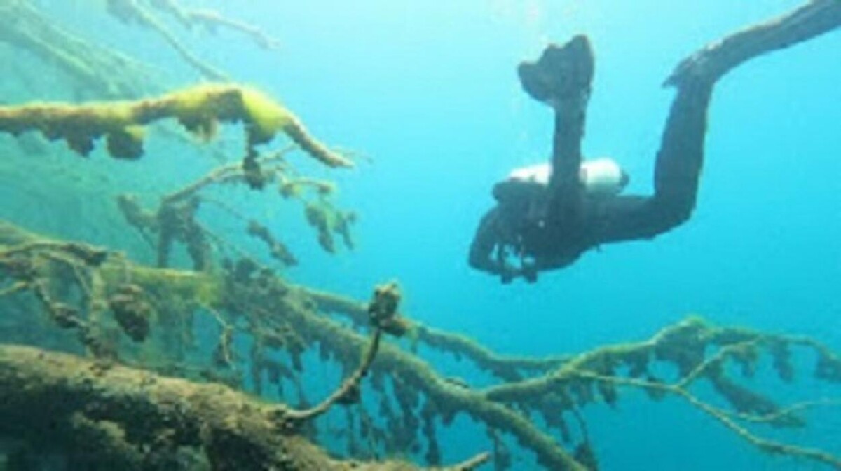 Bilder Diveteam Uetze Tauchshop