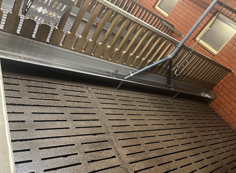 Bilder Clean BY BM