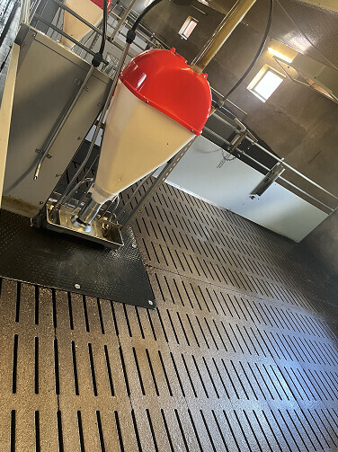 Bilder Clean BY BM