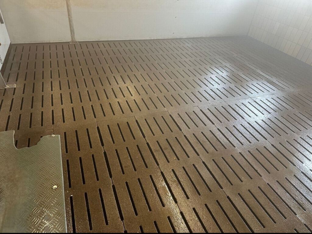 Bilder Clean BY BM