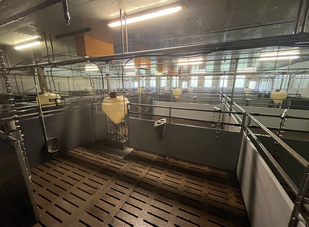 Bilder Clean BY BM