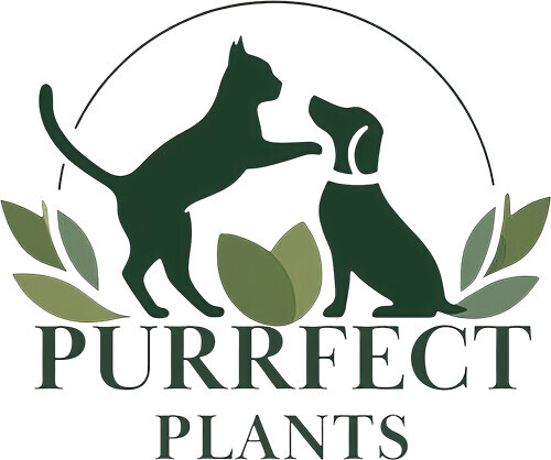 Purrfect Plants Patrick Völler Logo