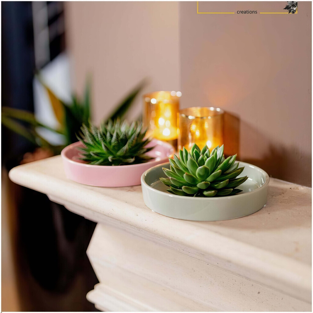 Bilder Purrfect Plants Patrick Völler