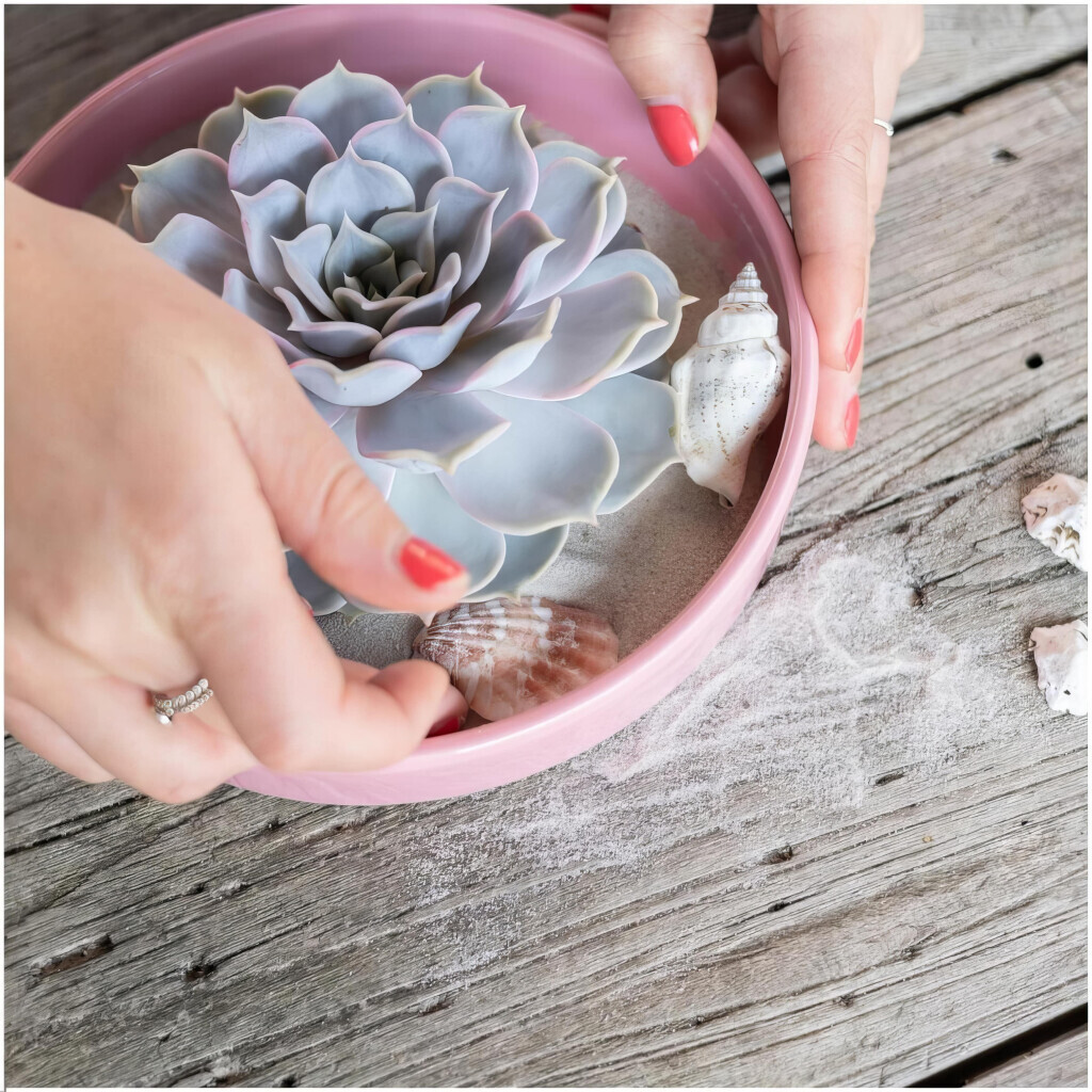 Bilder Purrfect Plants Patrick Völler