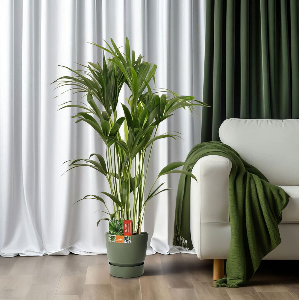 Bilder Purrfect Plants Patrick Völler