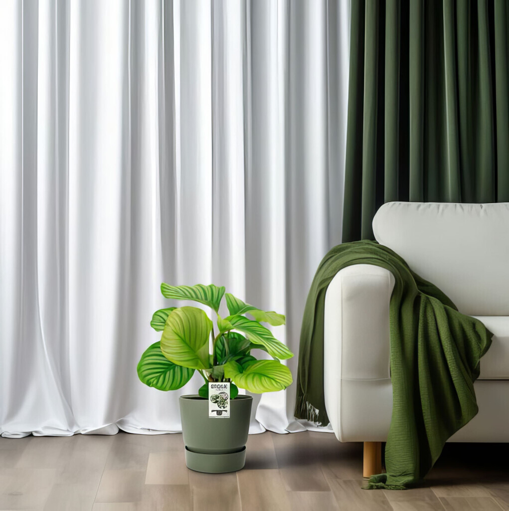 Bilder Purrfect Plants Patrick Völler