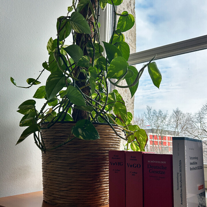 Bilder Die Kündigungsschutzkanzlei Fink & Partner Rechtsanwälte PartmbB