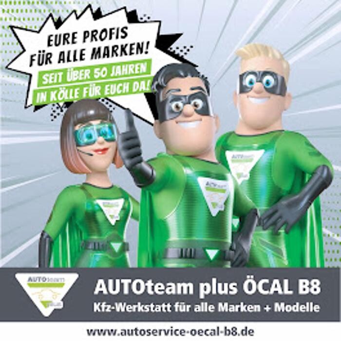 Autowerkstatt und KFZ-Service - AUTOteam plus ALi ÖCAL B8 Logo