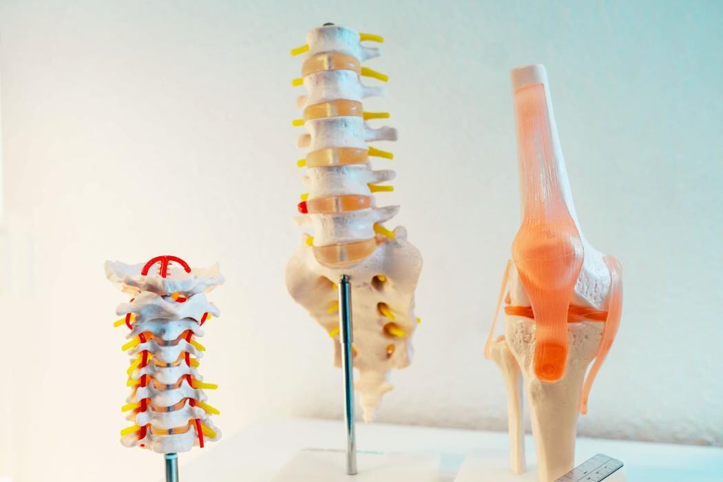 Bilder PhysioArt - Praxis für Physiotherapie