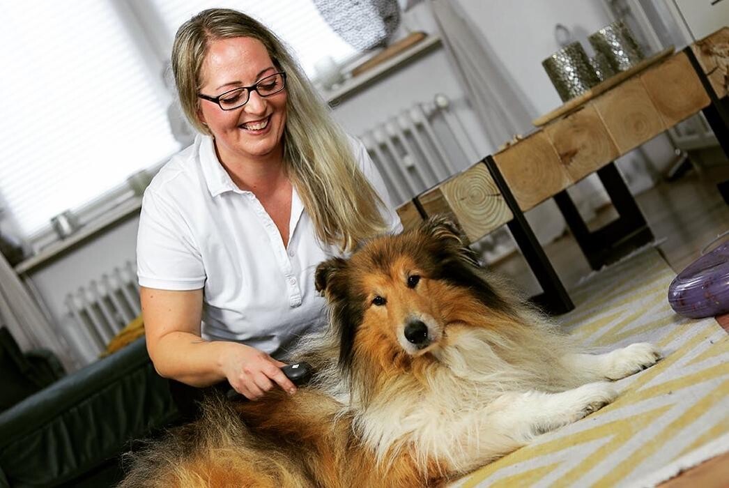 Bilder Tiertherapie Rosenthal