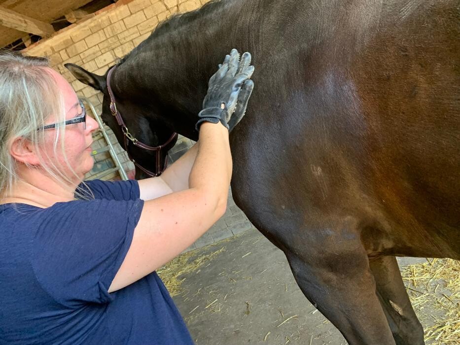 Bilder Tiertherapie Rosenthal