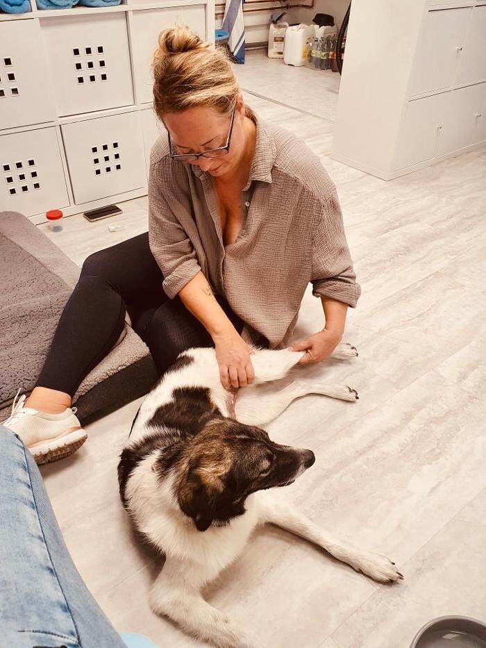 Bilder Tiertherapie Rosenthal