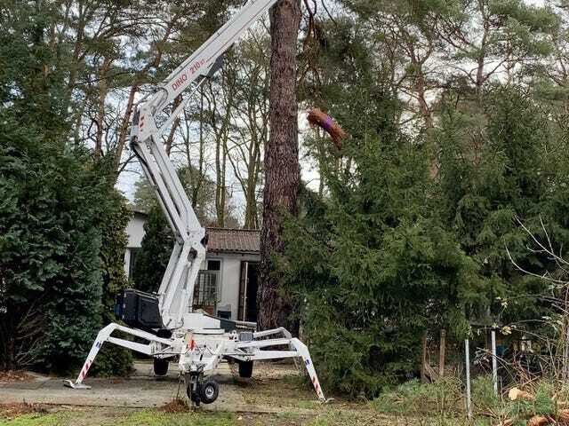 Bilder GreenLive Garten- & Landschaftsbau