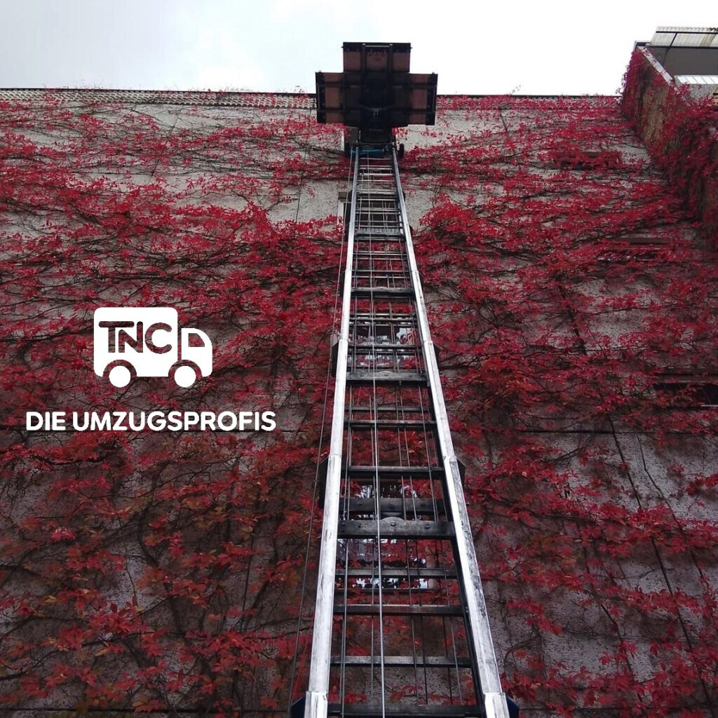 Bilder Thomas Czarnetzki - TNC - Die Umzugsprofis