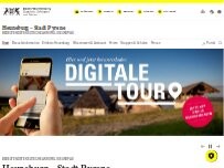 Website Screenshot Heuneburg