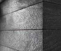 Bilder Torsten Göllner Fassadensani