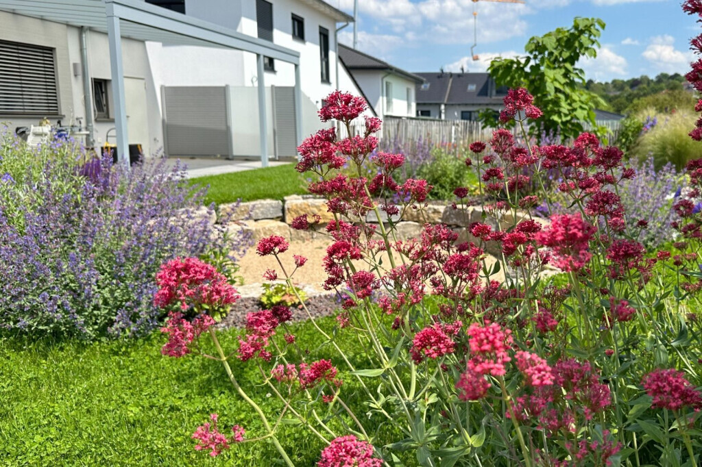 Bilder Paul Eckrich Garten- und Landschaftsbau