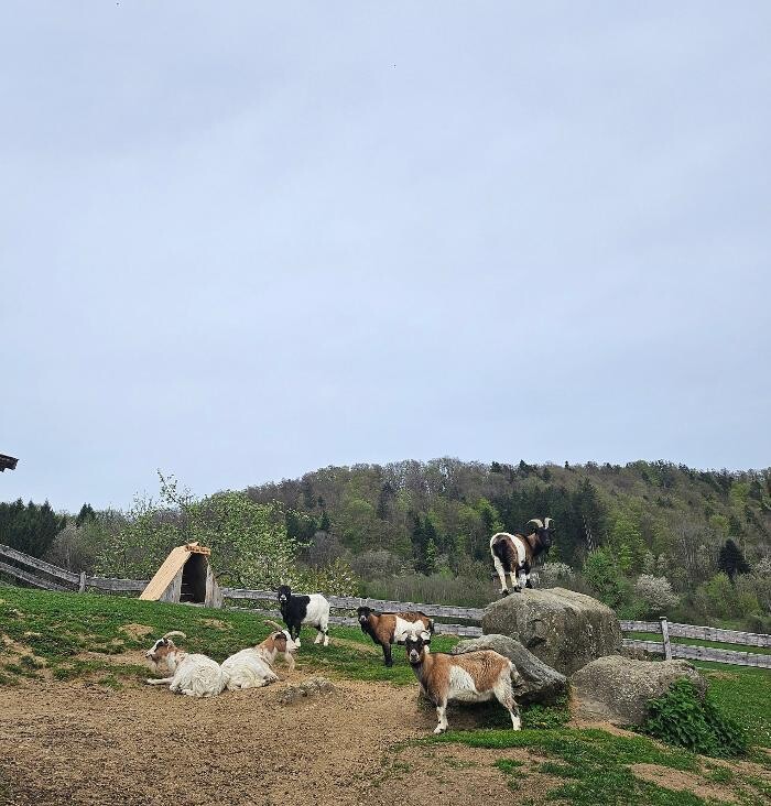 Bilder Kräuterhof Ringelai