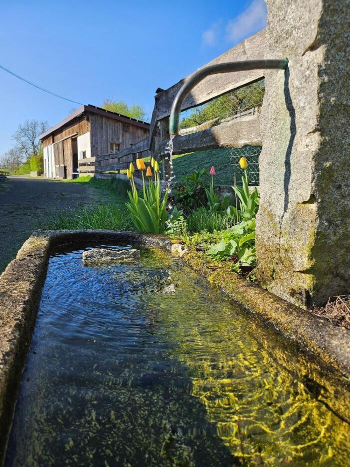 Bilder Kräuterhof Ringelai