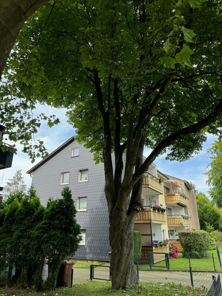 Bilder Nadrowski Baumdienst
