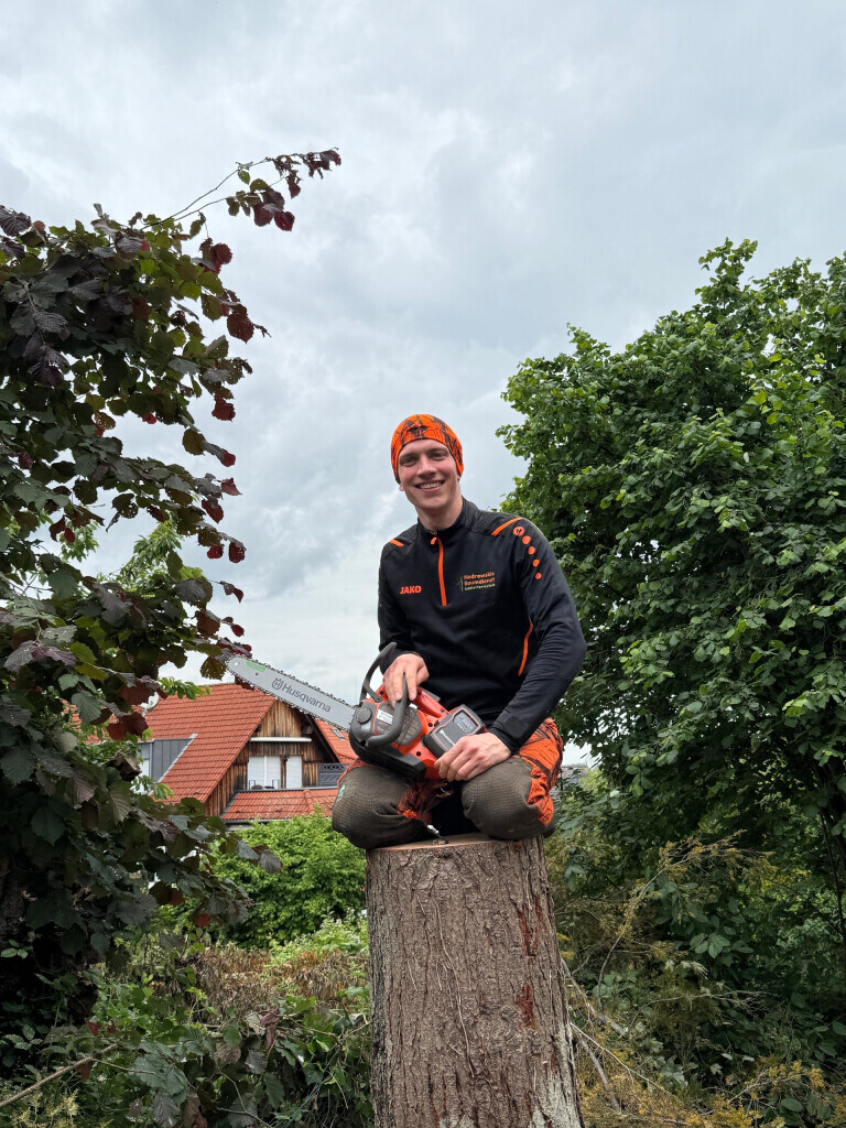 Bilder Nadrowski Baumdienst