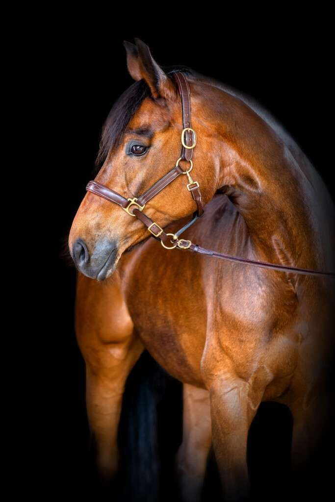 Bilder CR VIEW Photography