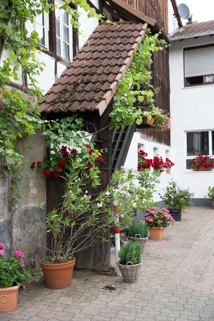 Bilder Gasthof zur Rose