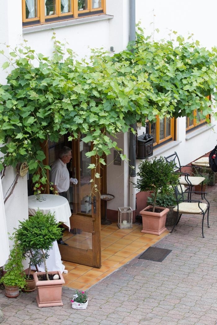 Bilder Gasthof zur Rose