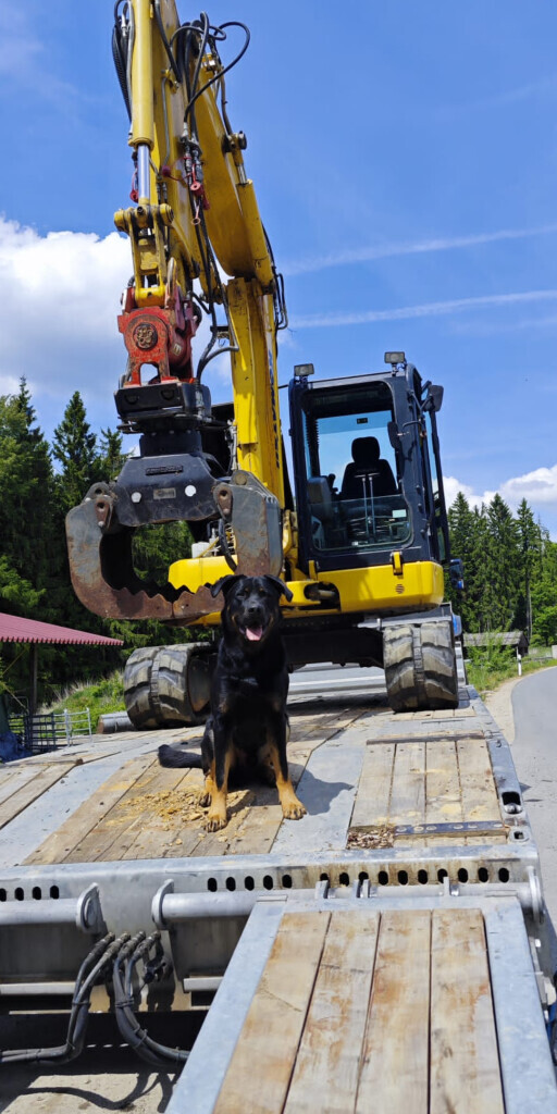 Bilder Dienstleistungen und Baggerbetrieb Bayer